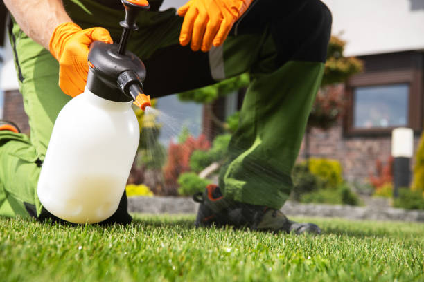 Best Rat Extermination Near Me  in Elmwood Park, NJ