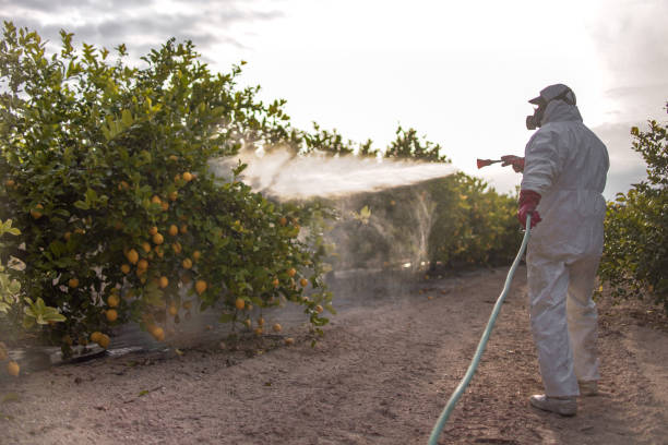  Elmwood Park, NJ Pest Control Pros