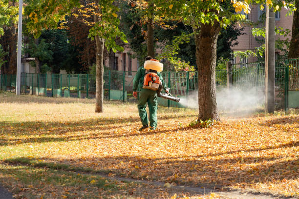 Flea Control Services in Elmwood Park, NJ