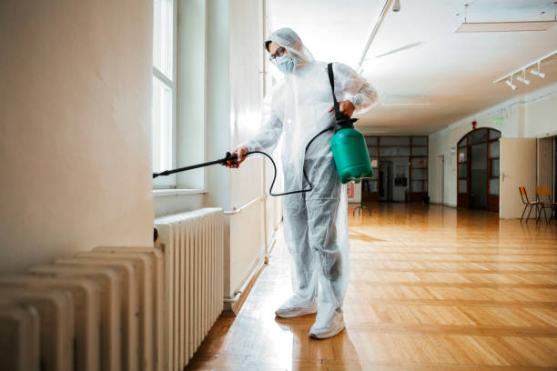 Best Pest Removal Services  in Elmwood Park, NJ