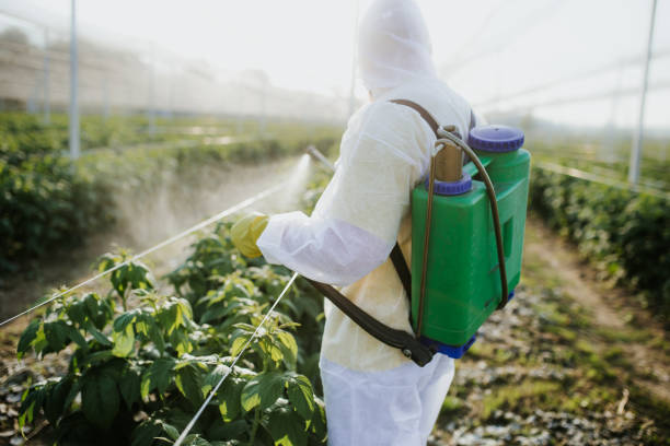 Best Wasp Removal Services  in Elmwood Park, NJ